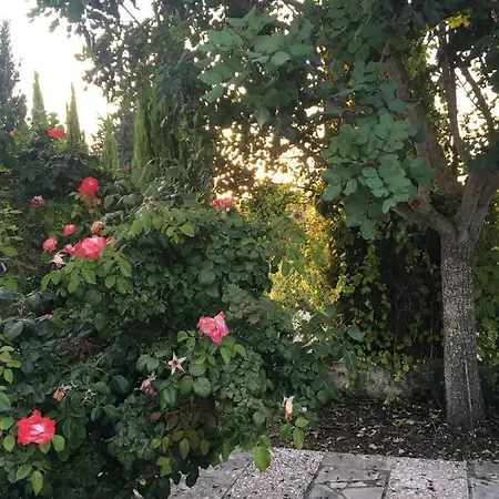 Villa Demelida In Tsada, Paphos