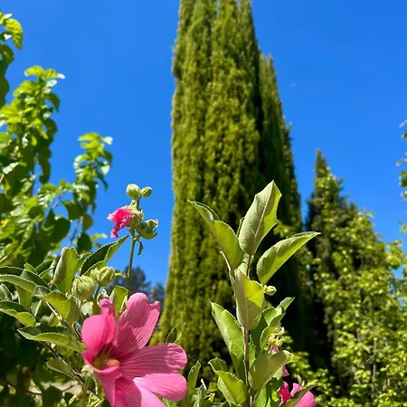 Demelida In Tsada, Paphos Villa