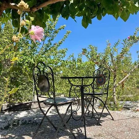 Villa Demelida In Tsada, Paphos