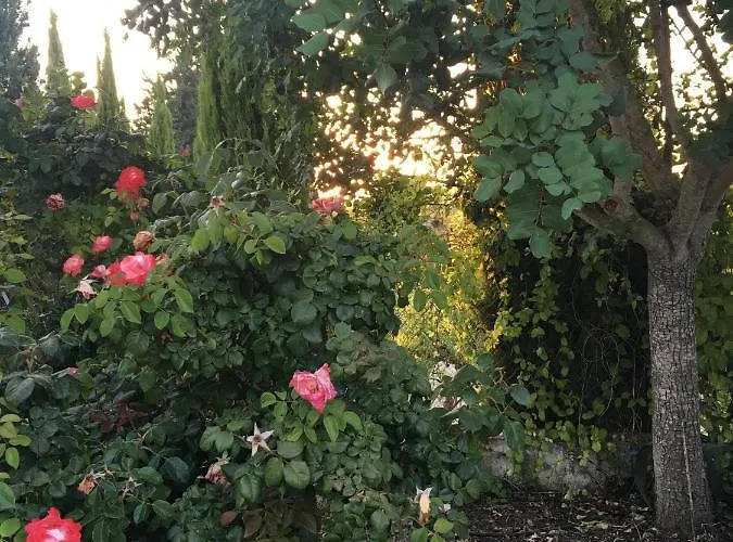 Willa Demelida In Tsada, Paphos