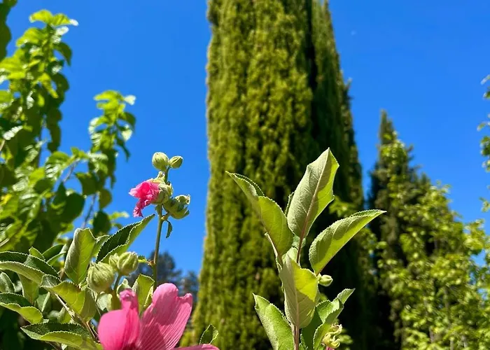 Demelida In Tsada, Paphos Villa
